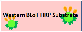 Western BLoT HRP Substrateシリーズ
