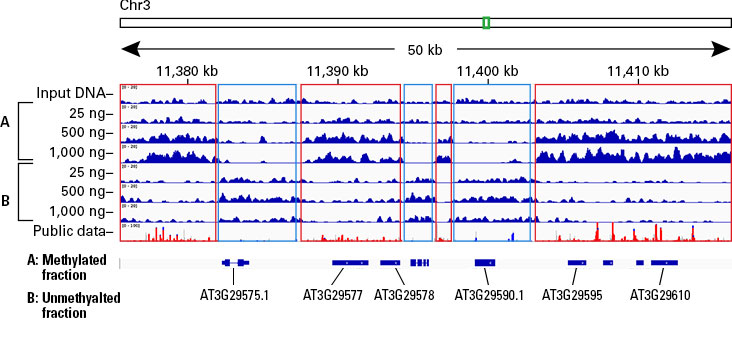 メチル化DNA画分と非メチル化DNA画分からのNGSライブラリーの比較