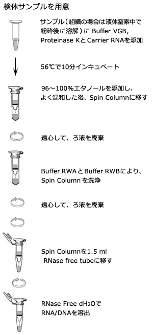 Takara Minibest Viral Rna Dna Extraction Kit Ver 5 0｜タカラバイオ株式会社