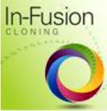In-Fusion Cloning In-Fusion Cloning