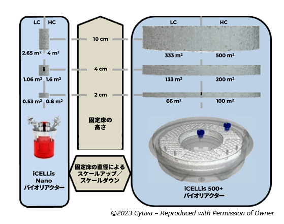 iCELLis NanoバイオリアクターおよびiCELLis 500+バイオリアクターの固定床サイズによるスケールアップ／スケールダウンのイメージ