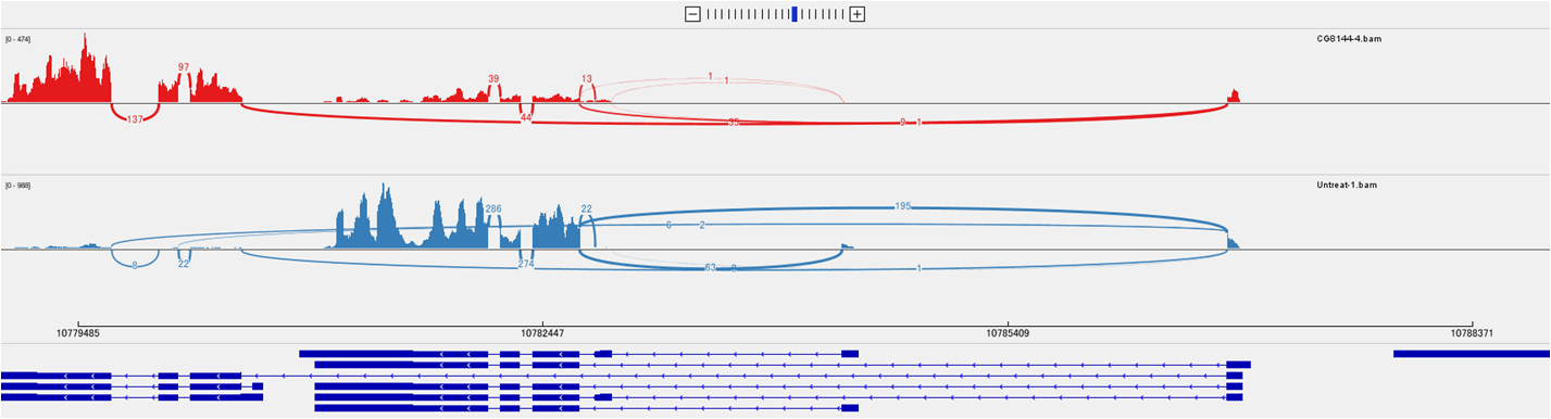 RNA-seq解析 Splicing Junction結果表示例