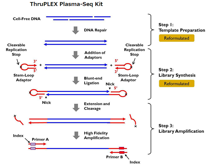 ThruPLEX Plasma-Seq Kitのテクノロジー