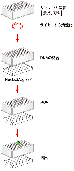 NucleoMag DNA Food 操作手順