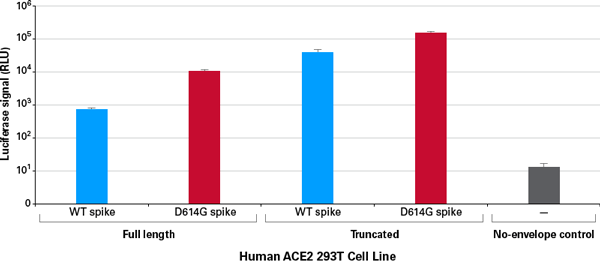 ルシフェラーゼをコードするSARS-CoV-2シュードウイルスを用いたHuman ACE2 293T Cell Lineへの形質導入