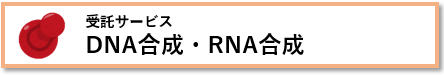 受託サービス　DNA合成・RNA合成