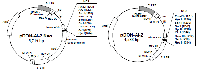 pDON-AI-2 DNA ベクターの構造