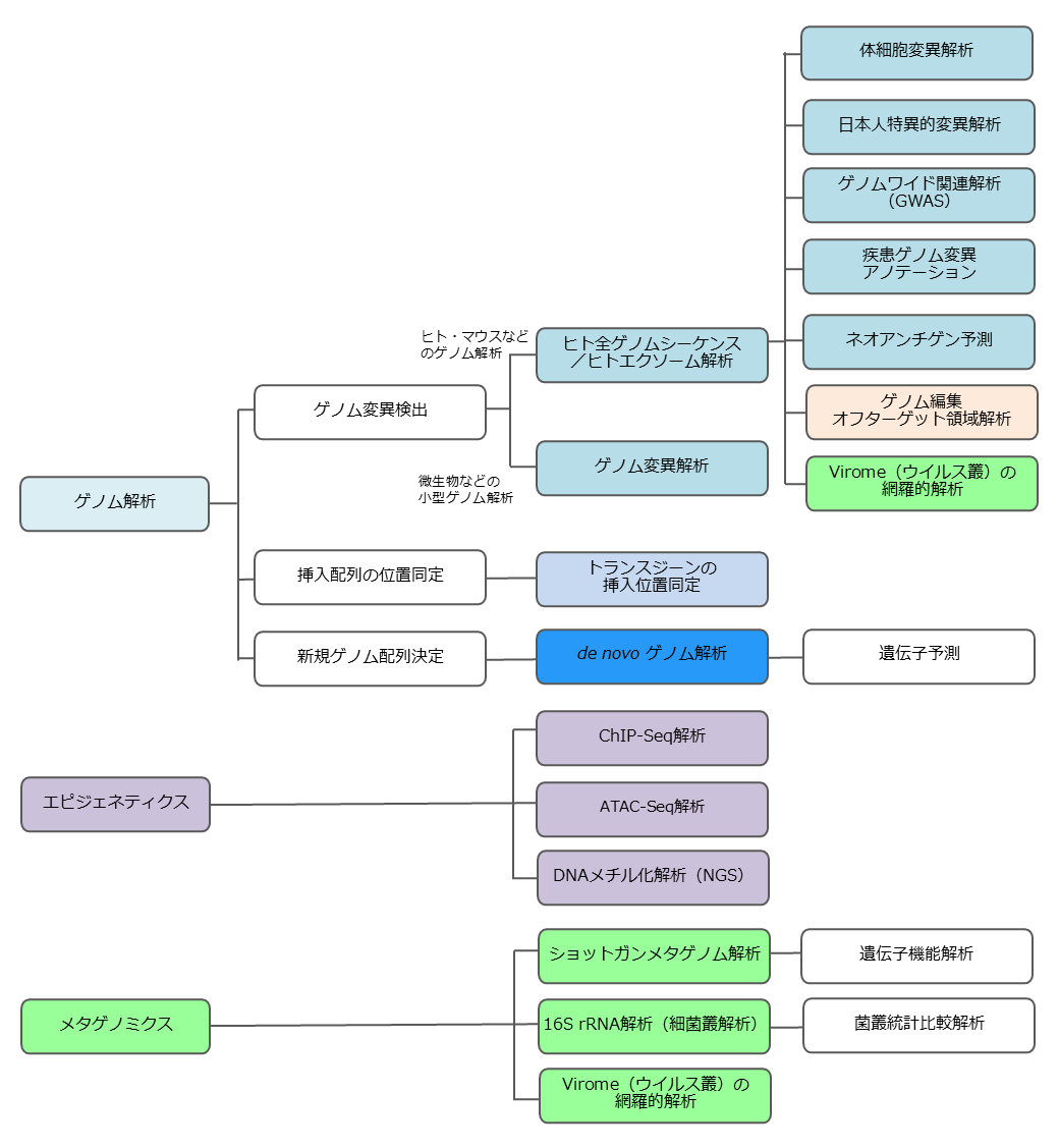 ゲノムDNA解析関連フローチャート