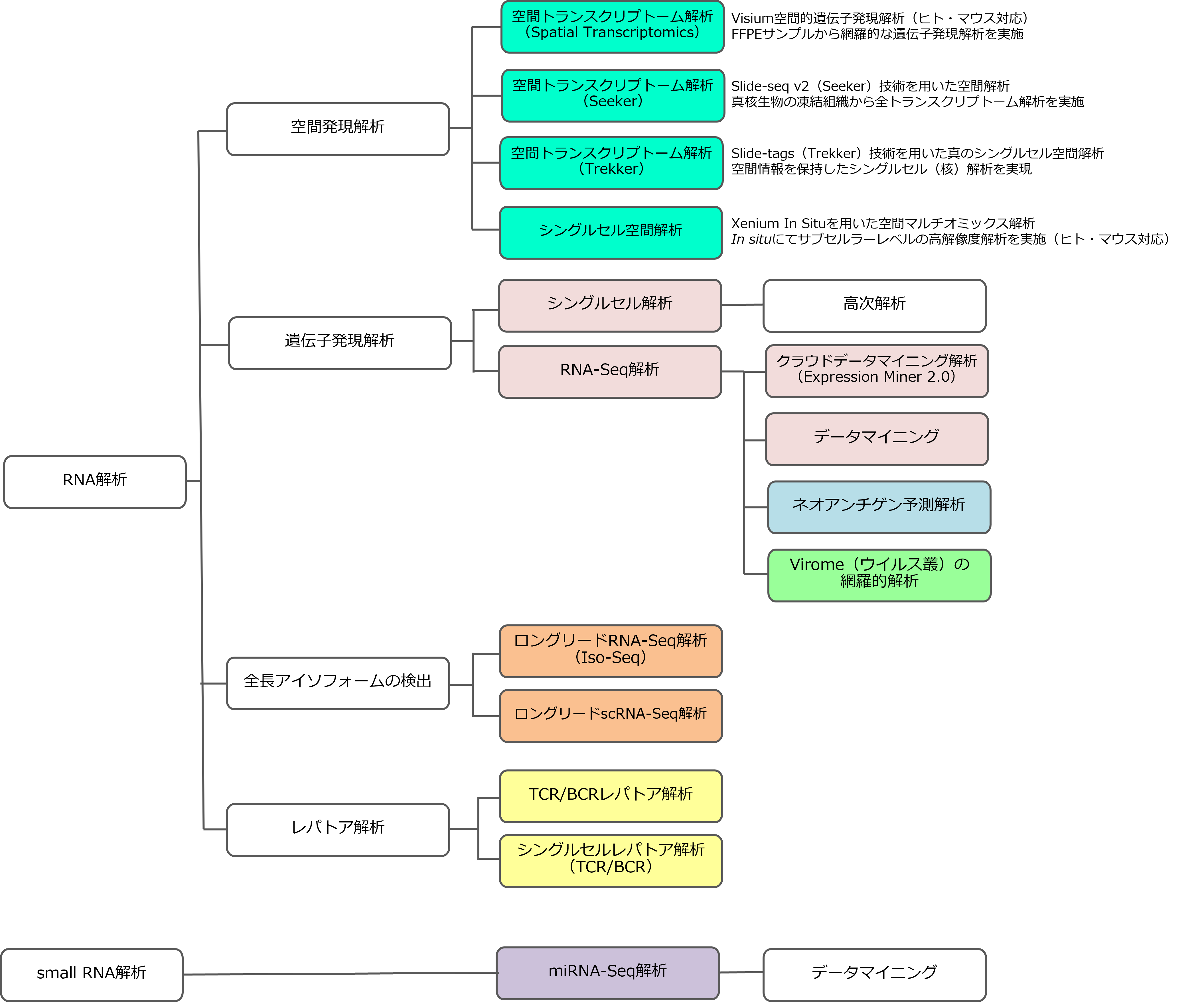 RNA解析関連フローチャート