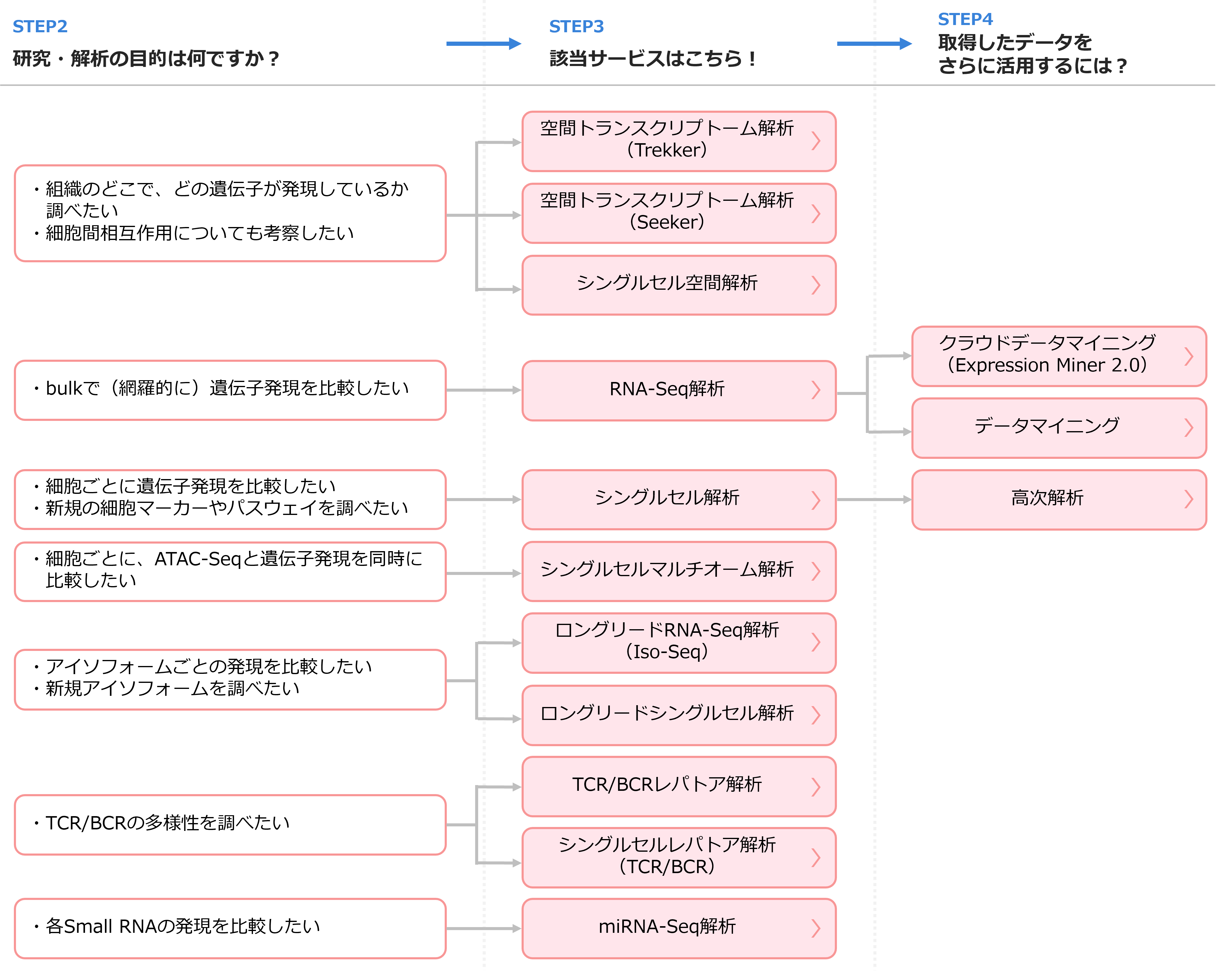 RNA解析関連フローチャート