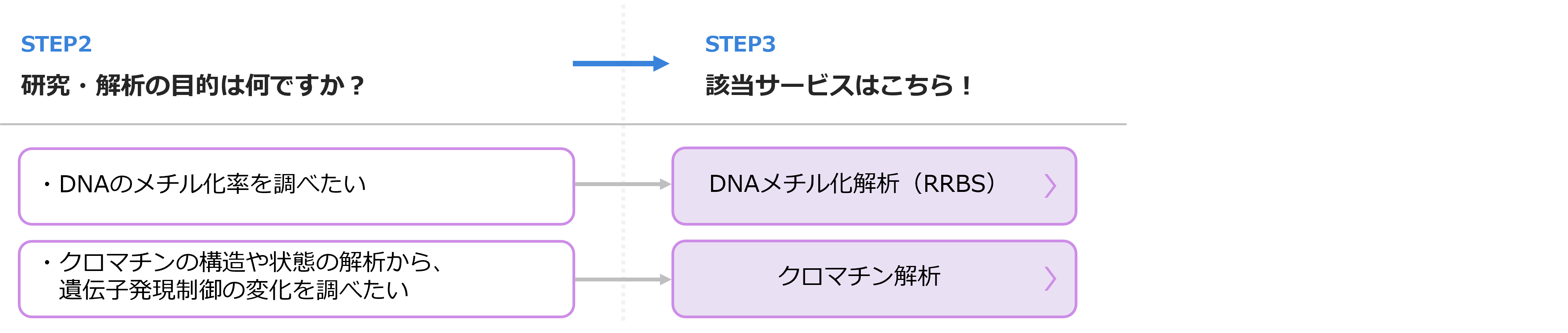 メチル化DNA、クロマチン関連フローチャート