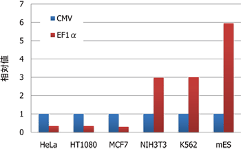 EF1αプロモーターとCMVプロモーターの発現強度の比較（1 copy/cellでの相対値）