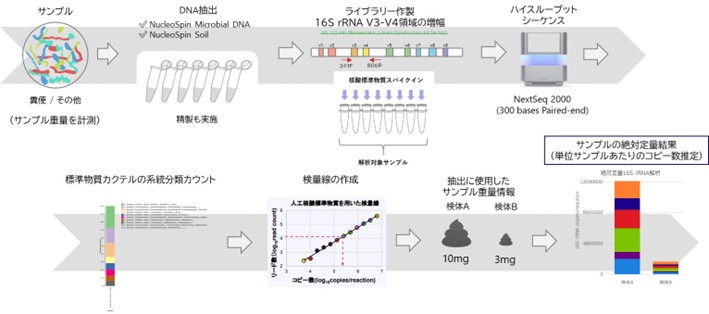 16S rRNA解析（細菌叢解析）の流れを表す図