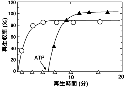 Application2 酵母由来エノラーゼ 2のchaperoninによる再生反応15 Application タカラバイオ株式会社