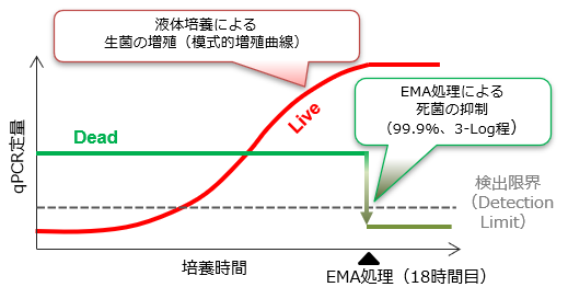 LC EMA-qPCR