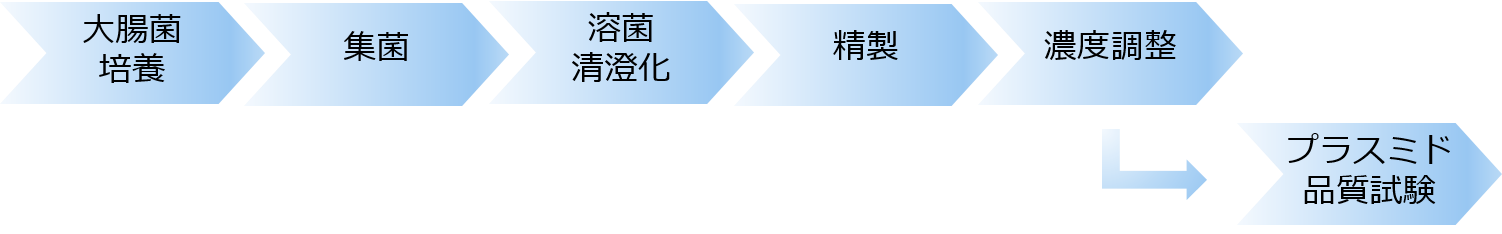 プラスミドベクター製造フロー画像