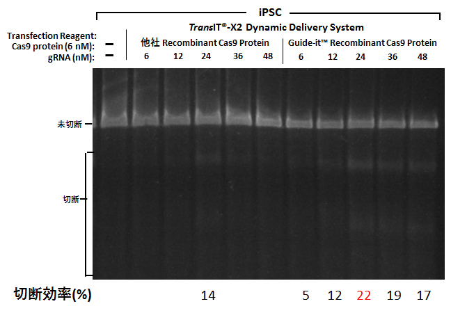 TransIT-X2とGuide-it Recombinant Cas9 Proteinを用いたiPS細胞の効率的なゲノム編集