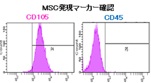 MSC機能性解析(フローサイトメトリー解析)