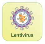 レンチウイルスベクター