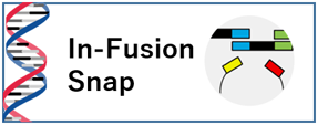 In-Fusion Snap Assembly Master Mix
