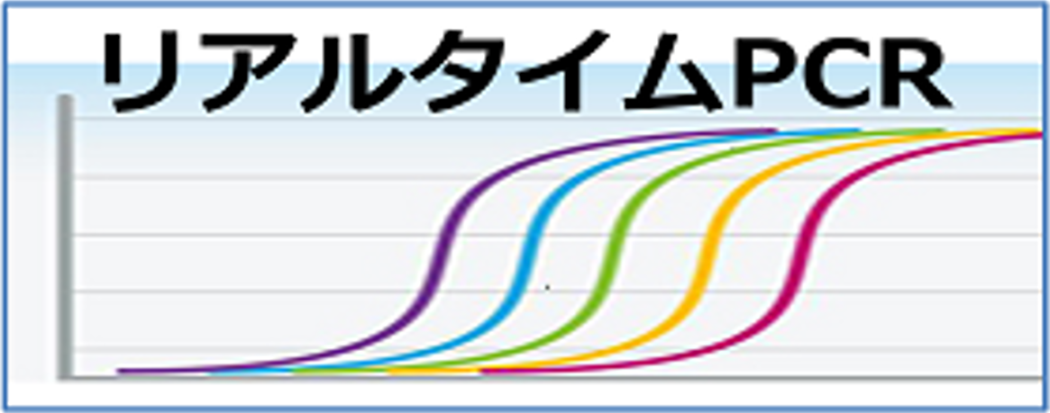 リアルタイムPCR