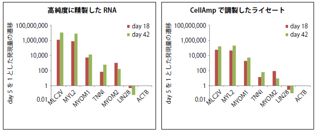 CellAmp Direct TB Green RT-PCR Kit（製品コード 3735）の実験例