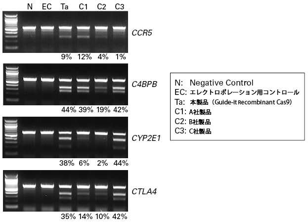 hiPS細胞における遺伝子のノックアウトおよび他社Cas9との比較
