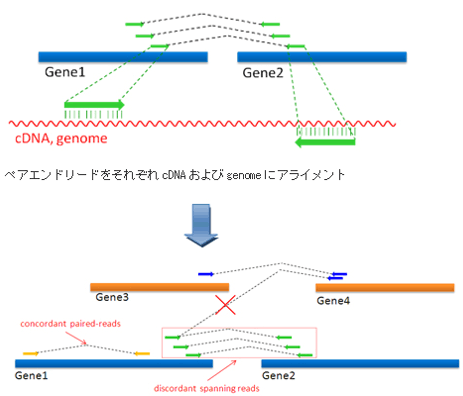 RNA-Seq解析