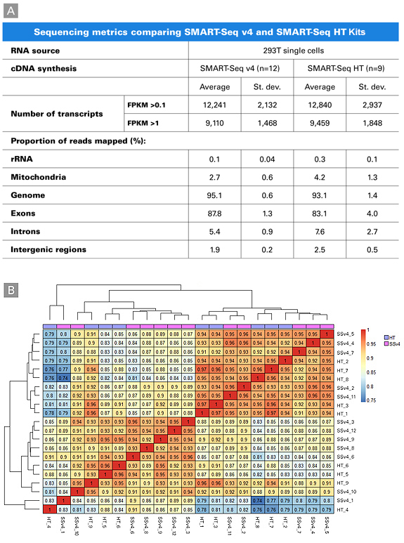 SMART-Seq v4 KitおよびSMART-Seq HT Kitを用いて、セルソーターで分離した293T細胞から得られた遺伝子発現データの再現性比較
