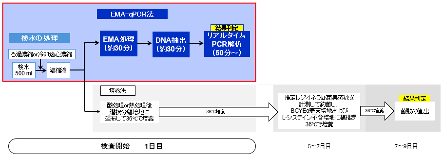 レジオネラ属菌検査の流れ