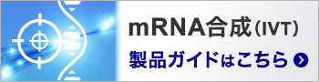 mRNA(IVT)製品ガイド