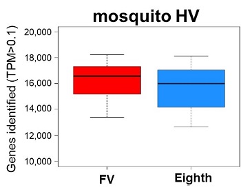 Mosquito HVを用いたcDNA合成の自動化と小型化対応