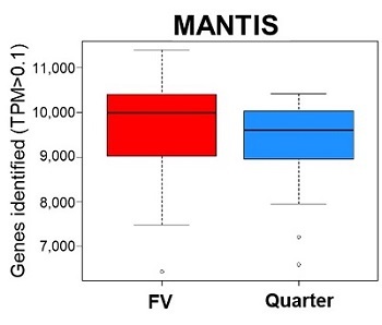 MANTIS liquid handlerを用いたcDNA合成の自動化と小型化対応