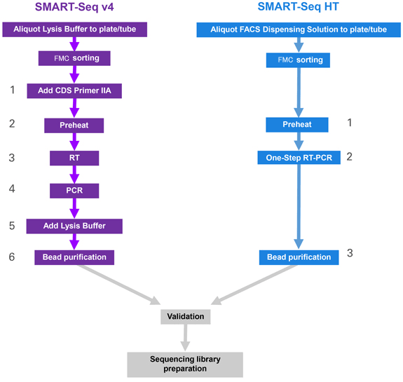 SMART-Seq v4 KitとSMART-Seq HT Kit のワークフローの比較