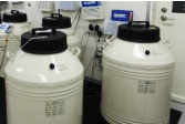 液体窒素保管容器