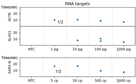 ターゲット各種の検出時間RNAサンプル