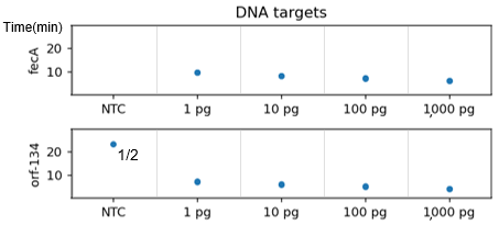ターゲット各種の検出時間DNAサンプル