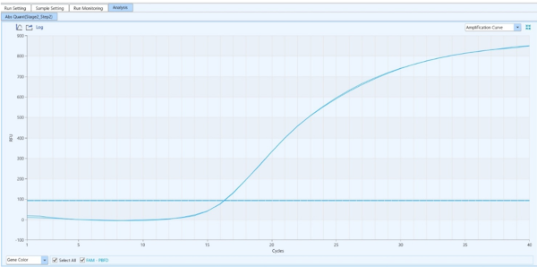 鳥類糞便からのBFDV遺伝子の検出
