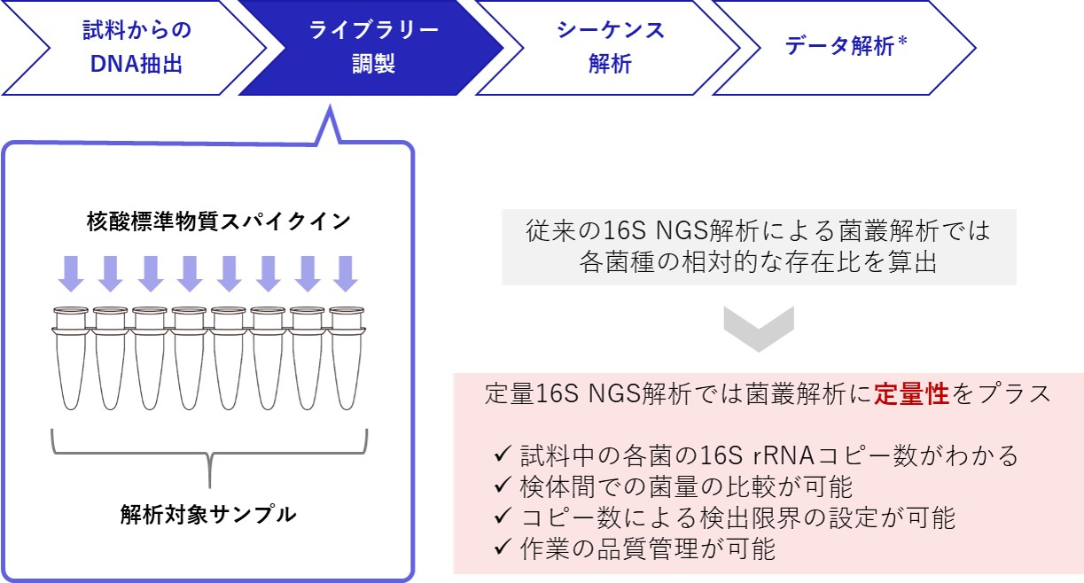 絶対定量16S rRNA菌叢解析ワークフロー