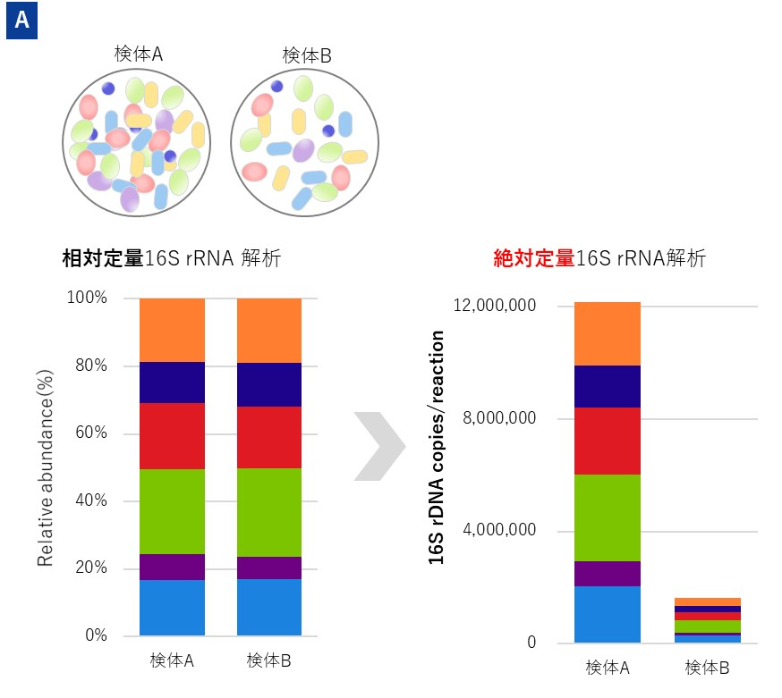 従来の相対定量16S rRNA菌叢解析と絶対定量16S rRNA菌叢解析の違い