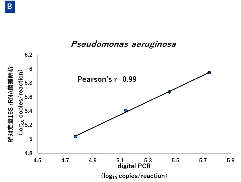 絶対定量16S rRNA菌叢解析とデジタルPCR による定量値の相関