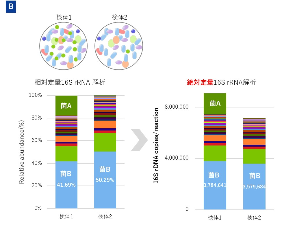 従来の相対定量16S rRNA菌叢解析と絶対定量16S rRNA菌叢解析の違い