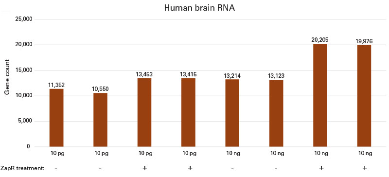 異なるRNAインプット量から調製したライブラリーの遺伝子数とトランスクリプト数の評価