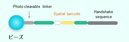 Curio Trekker Bead概略図