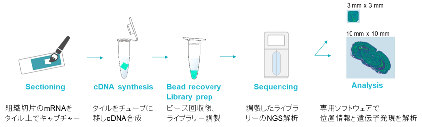 解析作業フロー