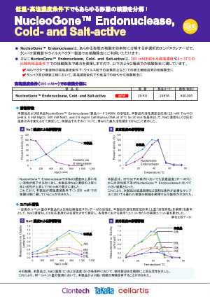チラシ表紙
