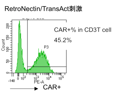 RetroNectin/TransAct刺激