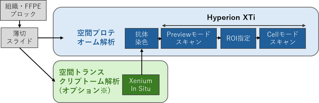 組織・ブロック～解析までの作業フロー