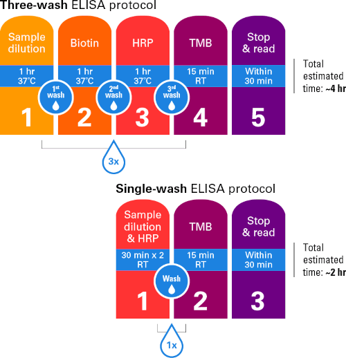AAV Rapid Titer ELISA Kit (Single Wash)のワークフロー