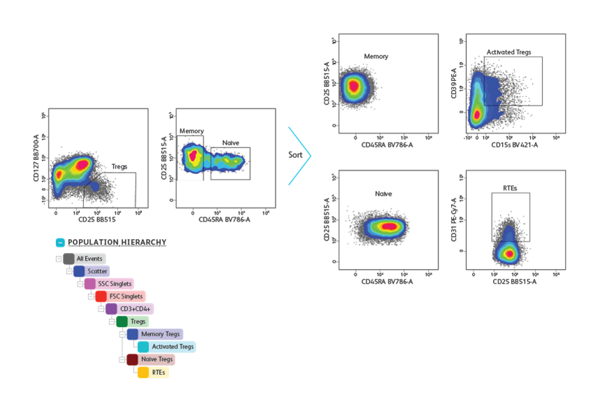 ソーティング例画像
